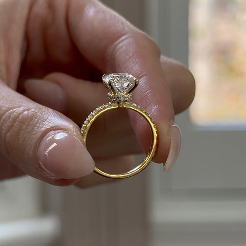 Round Brilliant Cut Diamond Christina Solitaire with Wrap Around Halo
